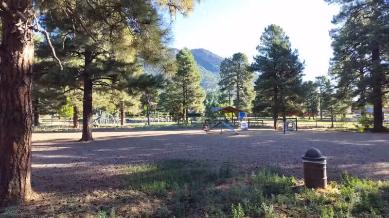 BarkMaster off-leash Dog Park - Flagstaff, AZ