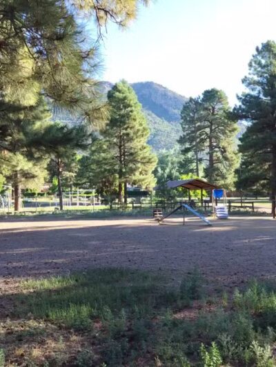 BarkMaster off-leash Dog Park - Flagstaff, AZ