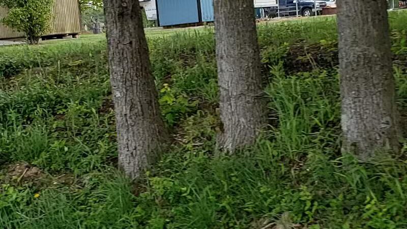 Field of Dreams Campgrounds - Flat Rock, IL