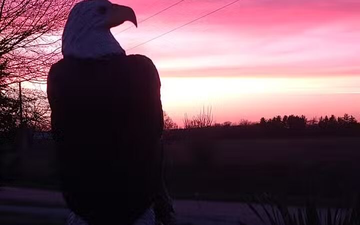 Field of Dreams Campgrounds - Flat Rock, IL