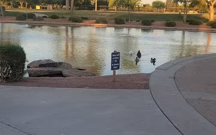 Anthem Parkside Dog Park - Florence, AZ