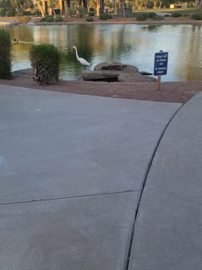 Anthem Parkside Dog Park - Florence, AZ