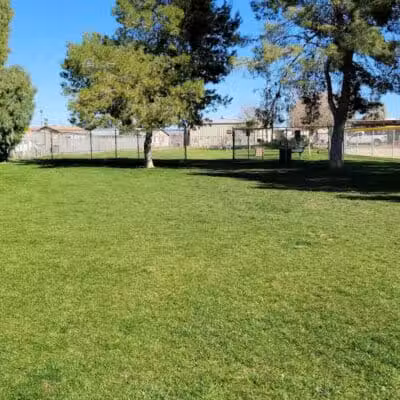 Florence Dog Park - Florence, AZ