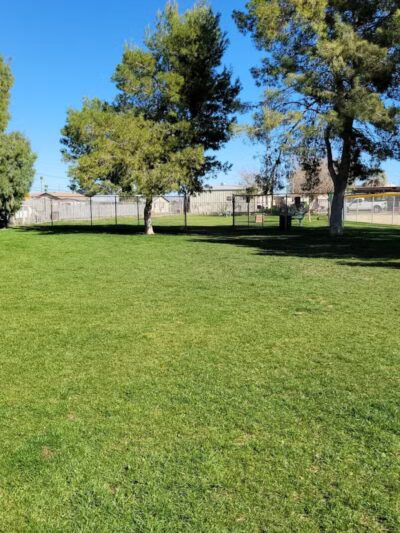 Florence Dog Park - Florence, AZ