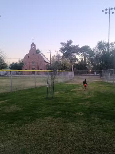 Florence Dog Park - Florence, AZ