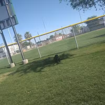 Florence Dog Park - Florence, AZ