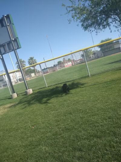 Florence Dog Park - Florence, AZ