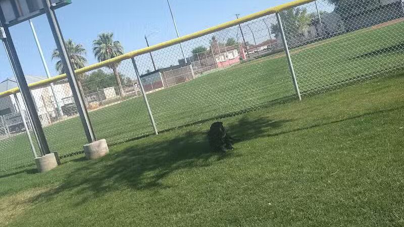 Florence Dog Park - Florence, AZ