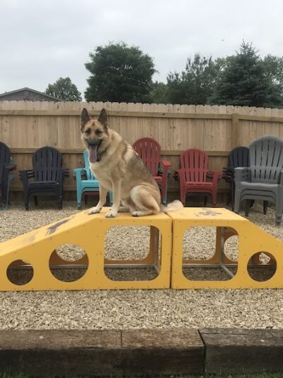 The Bark Park & Patio - Florence, KY