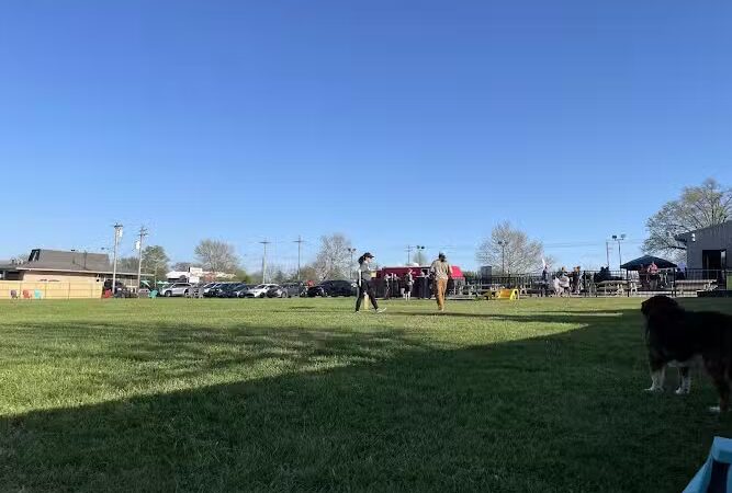 The Bark Park & Patio - Florence, KY