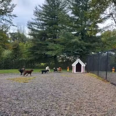 Elm Street Dog Park - Florham Park, NJ