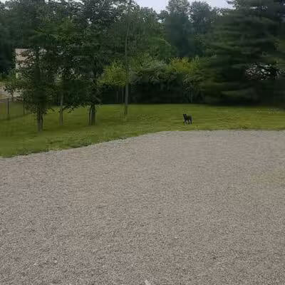 Elm Street Dog Park - Florham Park, NJ