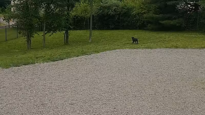 Elm Street Dog Park - Florham Park, NJ