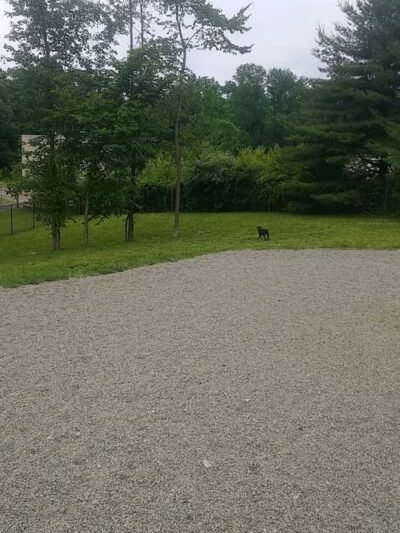Elm Street Dog Park - Florham Park, NJ