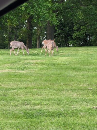 Sioux Passage Park - Florissant, MO