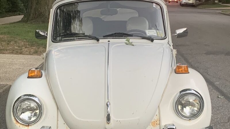 Gardens Rodelberg Park - Flushing, NY