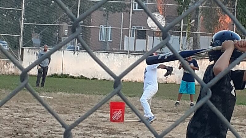 Linnaeus Park - Flushing, NY