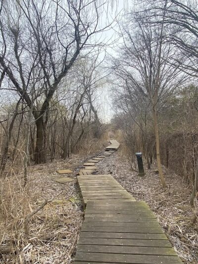Pat Dolan Trail - Flushing, NY