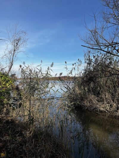 Pat Dolan Trail - Flushing, NY