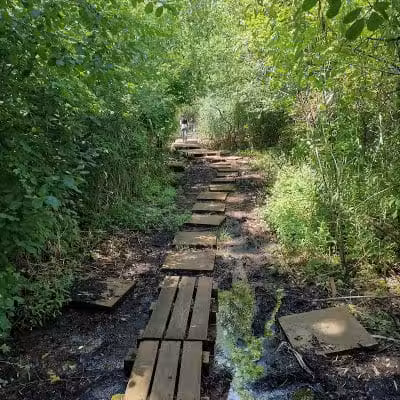 Pat Dolan Trail - Flushing, NY