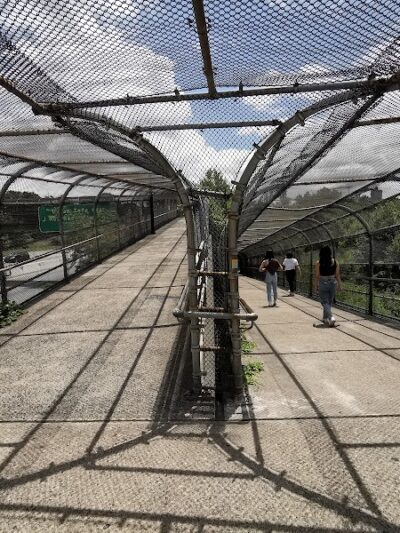 Pat Dolan Trail - Flushing, NY