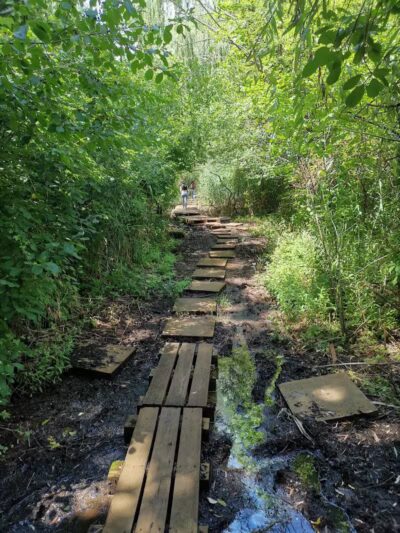 Pat Dolan Trail - Flushing, NY