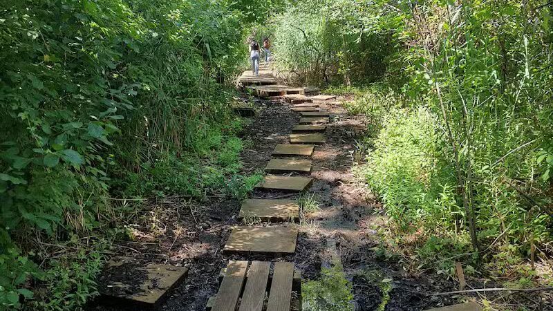 Pat Dolan Trail - Flushing, NY