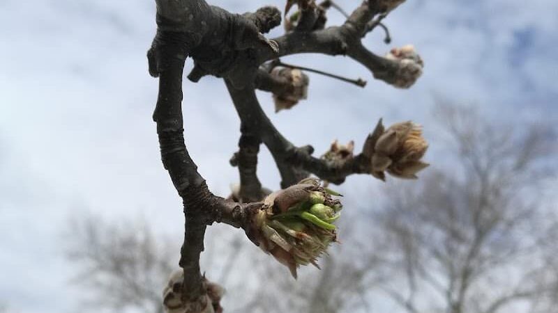 Vleigh Playground - Flushing, NY