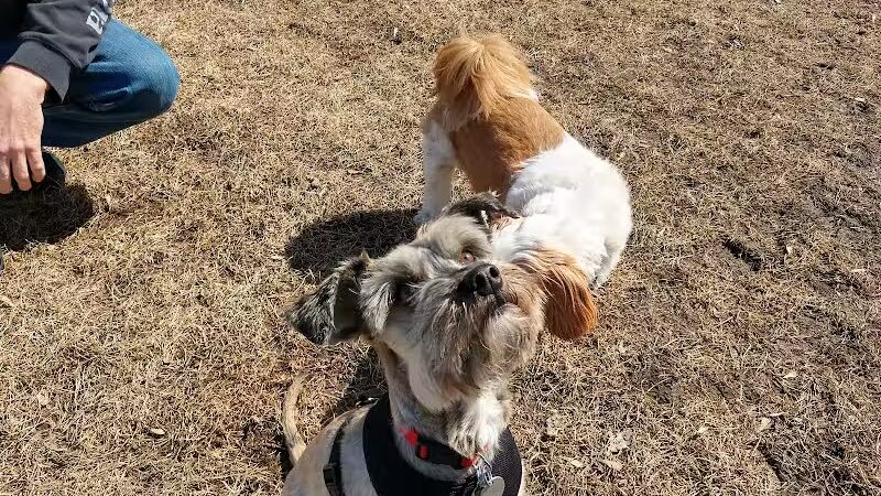 FIDO Dog Park - Fond du Lac, WI