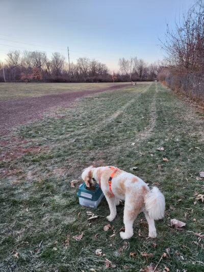 FIDO Dog Park - Fond du Lac, WI