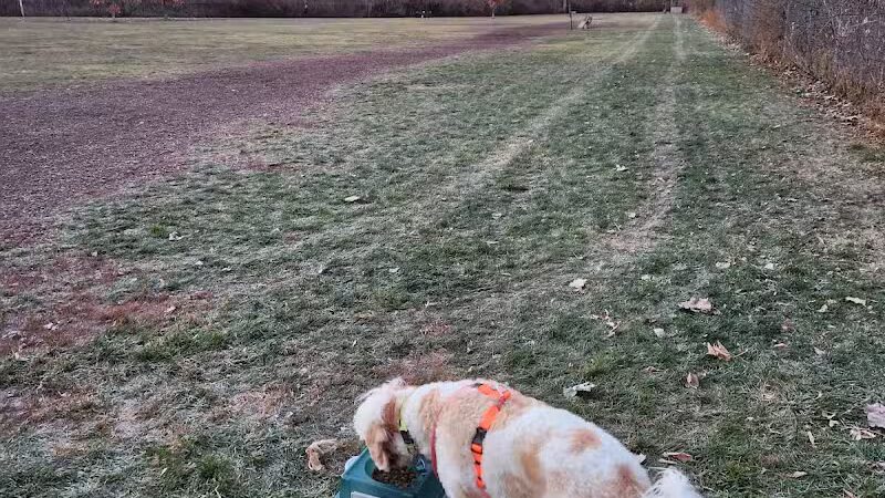 FIDO Dog Park - Fond du Lac, WI