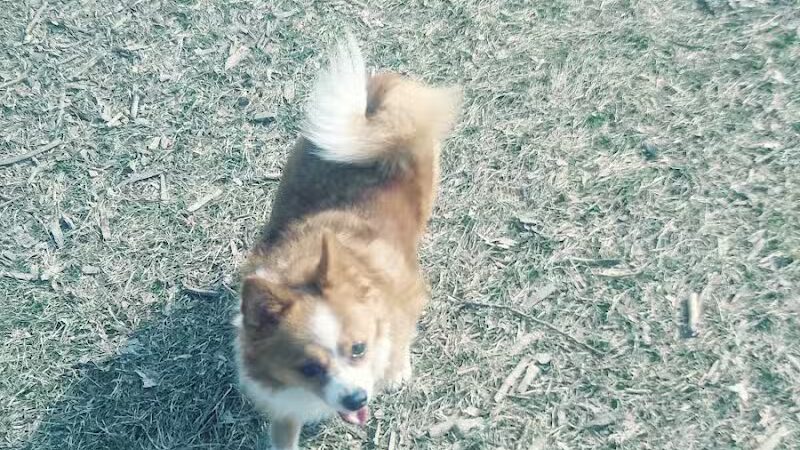 FIDO Dog Park - Fond du Lac, WI