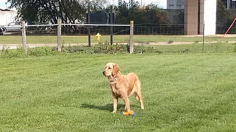 FIDO Dog Park - Fond du Lac, WI