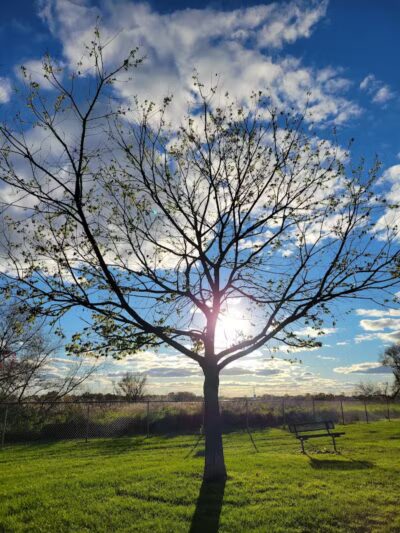 Lakeside Dog Park West - Fond du Lac, WI