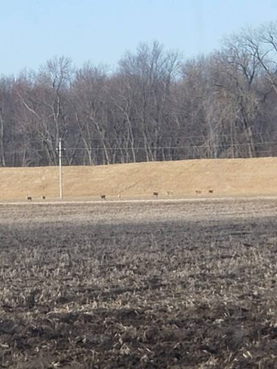 Forest City Public Park - Forest City, IL