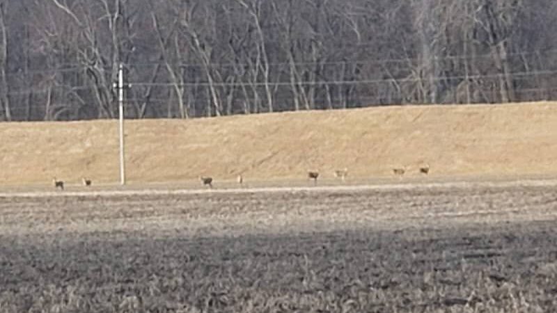 Forest City Public Park - Forest City, IL