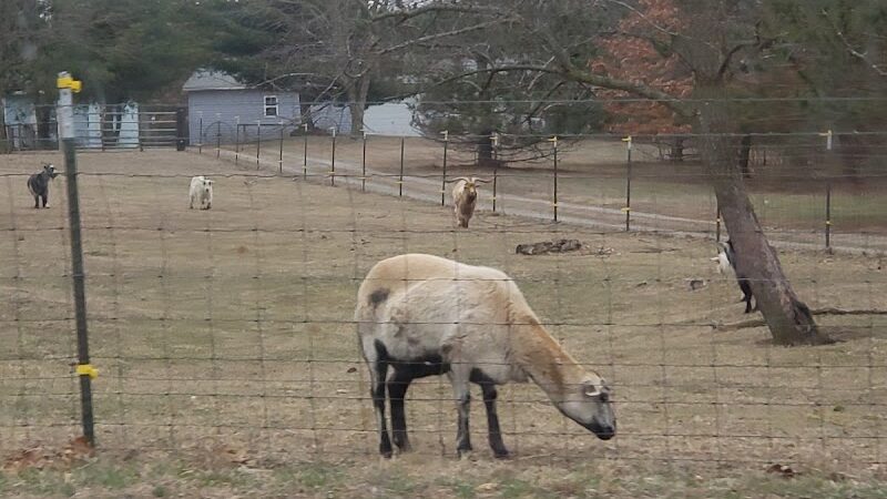 Forest City Public Park - Forest City, IL
