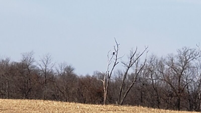 Forest City Public Park - Forest City, IL