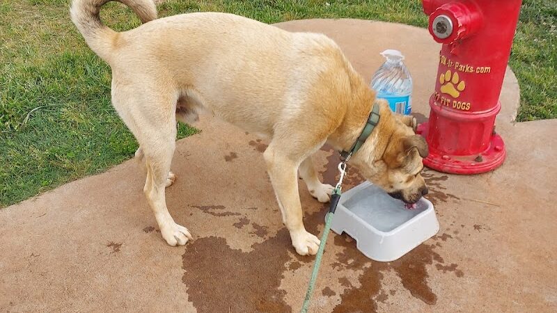 Trails to Tails Dog Park