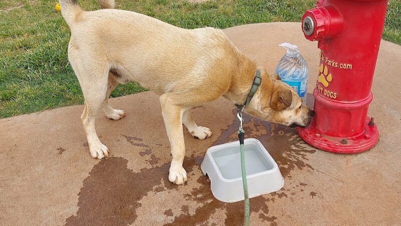 Trails to Tails Dog Park