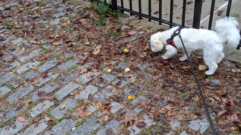 Ehrenreich-Austin Playground - Forest Hills, NY