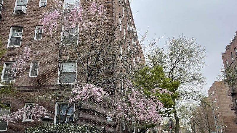 Ehrenreich-Austin Playground - Forest Hills, NY