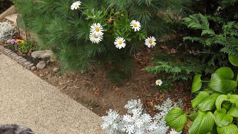 Ehrenreich-Austin Playground - Forest Hills, NY