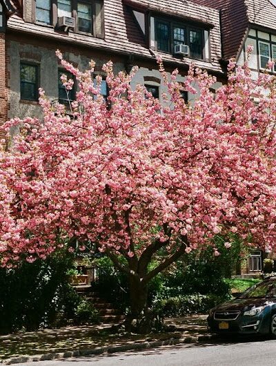 Hawthorne Park Forest Hills - Forest Hills, NY