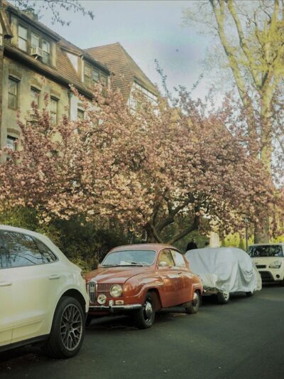 Hawthorne Park Forest Hills - Forest Hills, NY