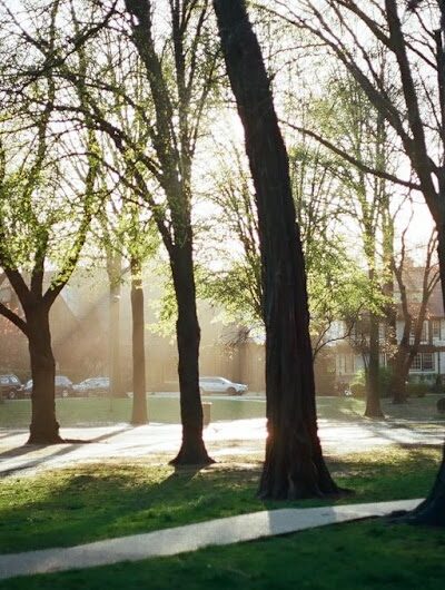 Hawthorne Park Forest Hills - Forest Hills, NY