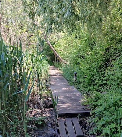 Pat Dolan Trail - Forest Hills, NY