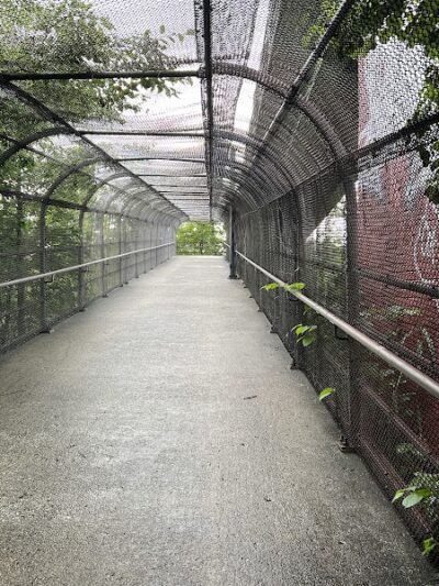 Pat Dolan Trail - Forest Hills, NY