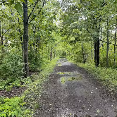 Pat Dolan Trail - Forest Hills, NY