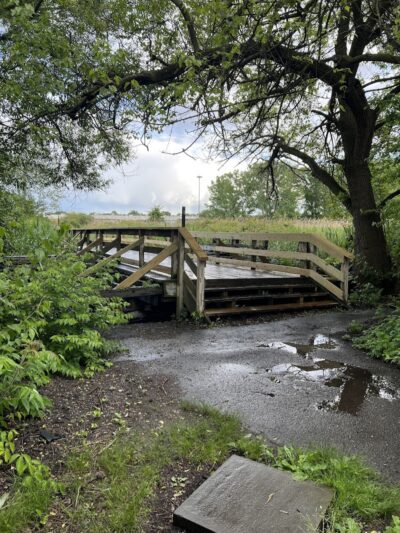 Pat Dolan Trail - Forest Hills, NY